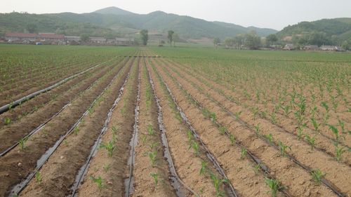 Farm irrigation