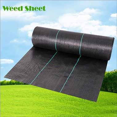 Rào cản cỏ dại bằng nhựa đen