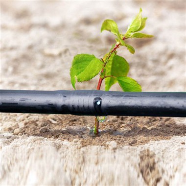 Bộ ống tưới nhỏ giọt HDPE cho hệ thống tưới đu đủ